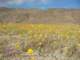 imgp2482_small.jpg