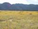 imgp2489_small.jpg