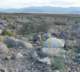 imgp2490_small.jpg