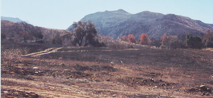 Cerritos Fire aftermath near Mt. Estelle road, 5/13/2004