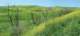 imgp2550m_small.jpg