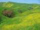 imgp2555_small.jpg