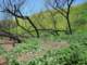 imgp2567_small.jpg