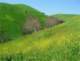 imgp2569_small.jpg