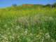 imgp2570_small.jpg