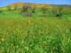 imgp2574_small.jpg