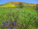 imgp2575_small.jpg
