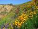 imgp2581_small.jpg