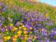 imgp2585_small.jpg