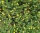 imgp2591_small.jpg