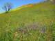 imgp2593_small.jpg