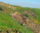 imgp2596_small.jpg