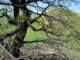 imgp2598_small.jpg