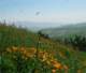 imgp2599_small.jpg