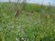 imgp2604_small.jpg
