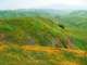 imgp2610_small.jpg