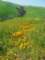 imgp2611_small.jpg