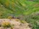 imgp2614_small.jpg