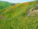 imgp2615_small.jpg