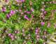 imgp2618_small.jpg