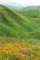 imgp2626_small.jpg