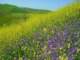 imgp2629_small.jpg