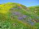 imgp2634_small.jpg