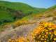 imgp2641_small.jpg
