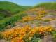 imgp2646_small.jpg