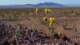 imgp3447_small.jpg