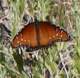 imgp3451_small.jpg