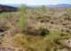 imgp3452_small.jpg