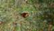 imgp3453_small.jpg