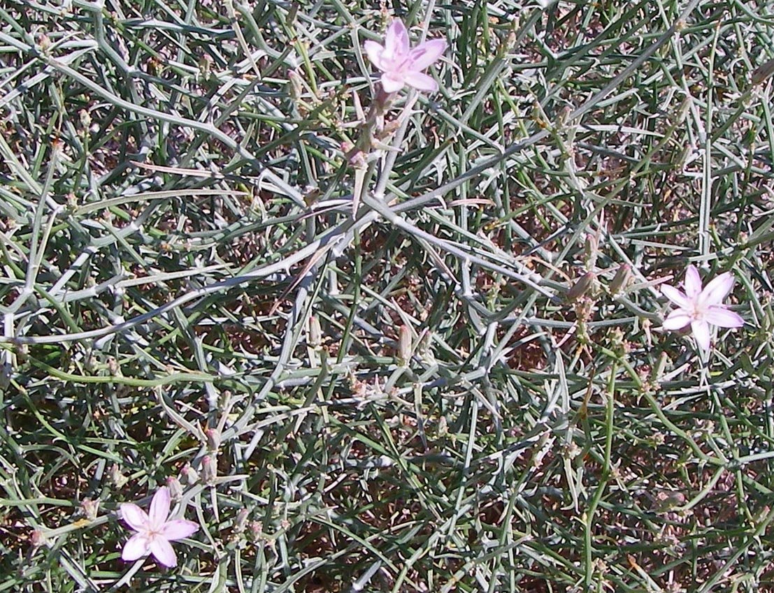 imgp3455.jpg