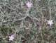 imgp3455_small.jpg