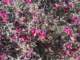 imgp3457_small.jpg