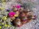imgp3458_small.jpg