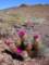 imgp3460_small.jpg
