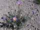 imgp3462_small.jpg