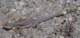 imgp3464_small.jpg