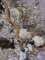 imgp3471_small.jpg