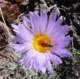 imgp3473_small.jpg