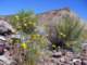 imgp3476_small.jpg