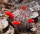imgp3480_small.jpg