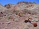 imgp3483_small.jpg