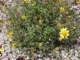 imgp3498_small.jpg