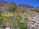 imgp3499_small.jpg