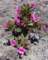 imgp3500_small.jpg