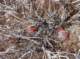 imgp3501_small.jpg