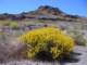 imgp3502_small.jpg